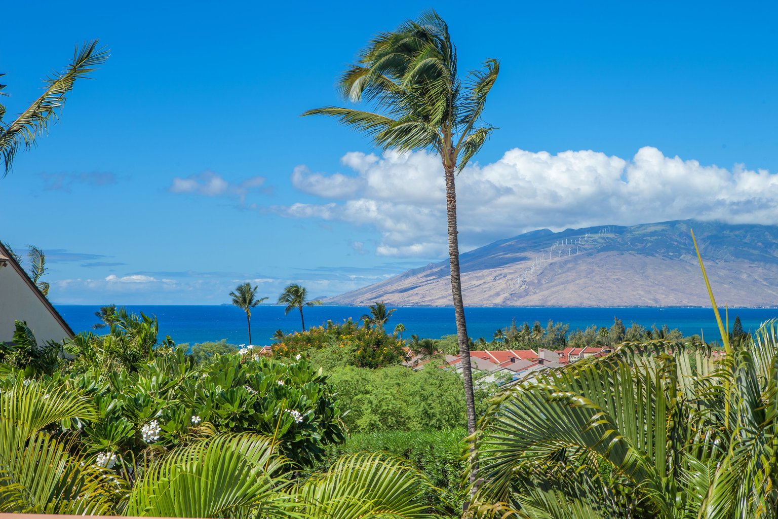 Kihei Vacation Rental