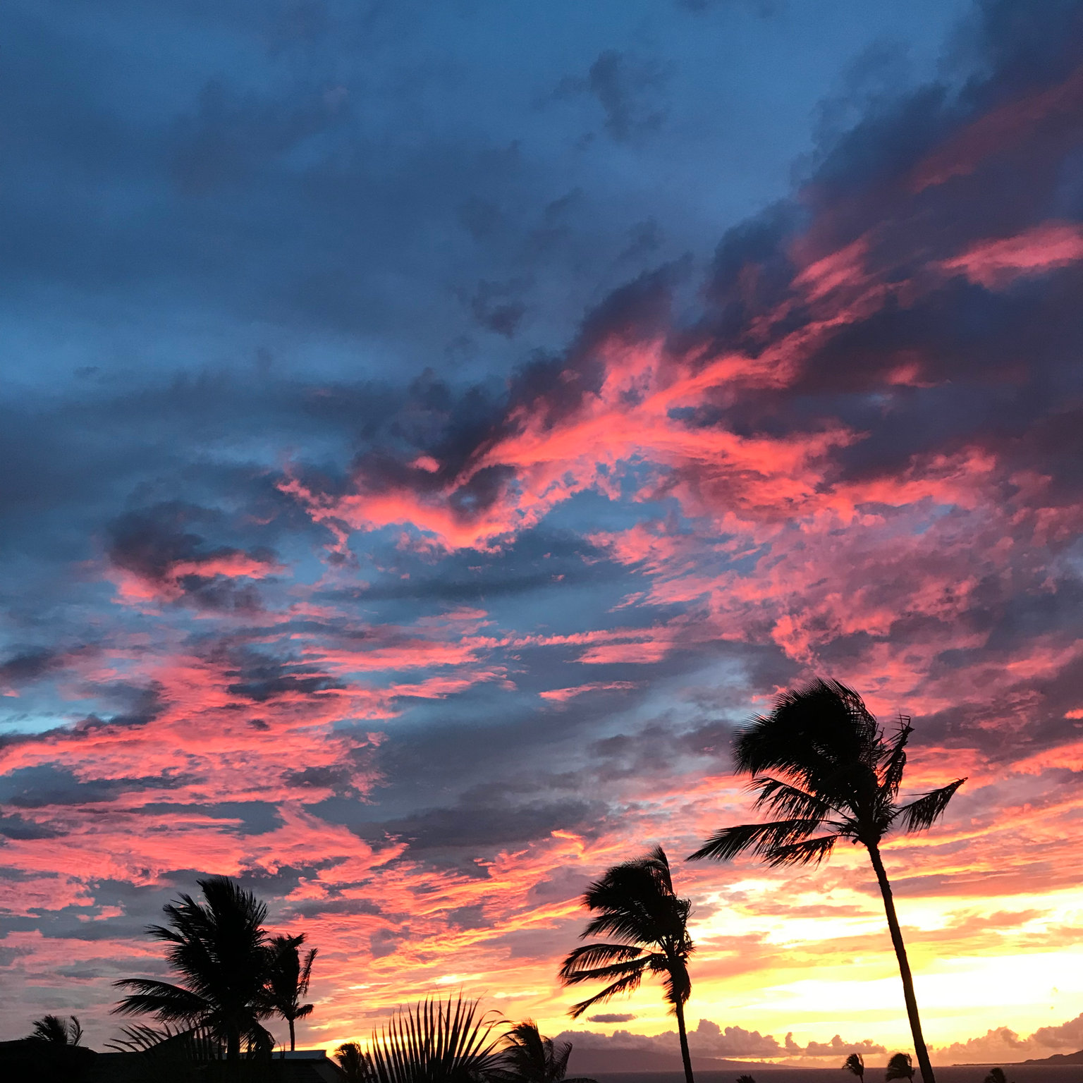 Kihei Vacation Rental