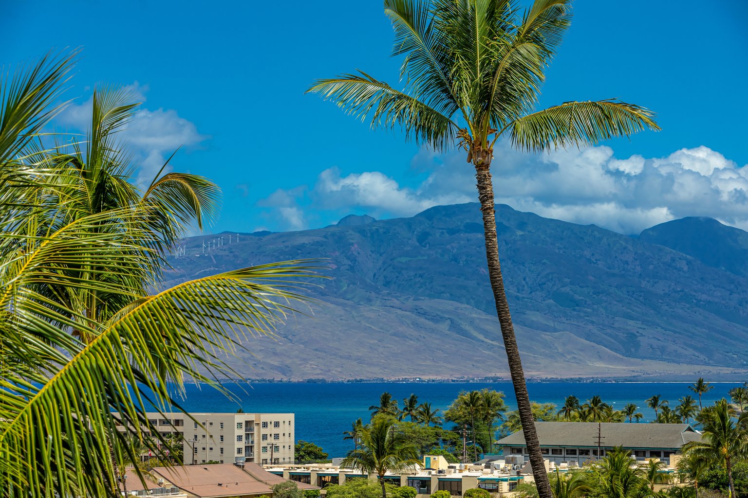 Kihei Vacation Rental