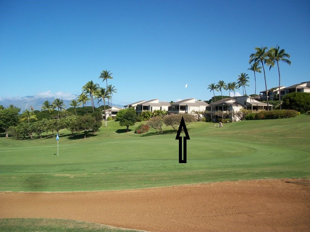 Wailea Vacation Rental