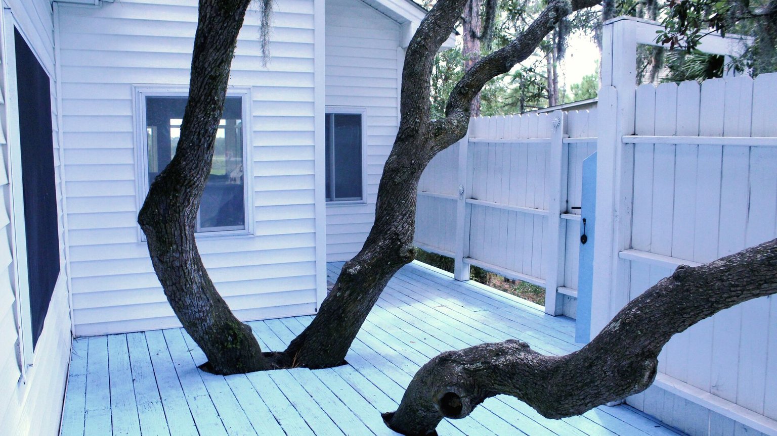 Tybee Island Vacation Rental