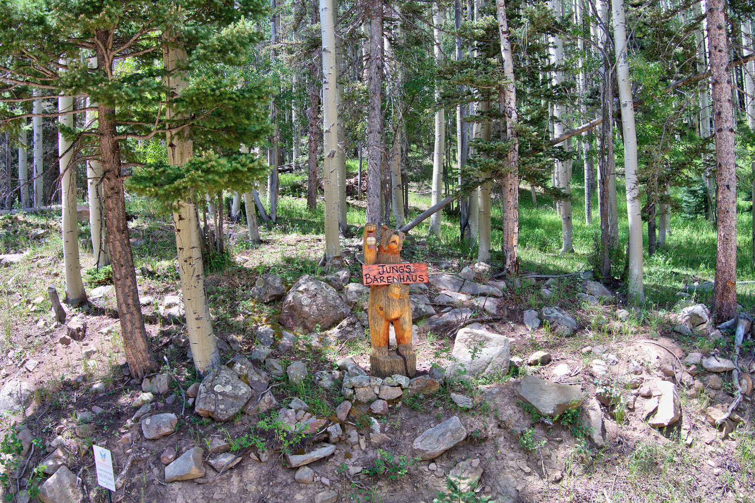 Angel Fire Vacation Rental