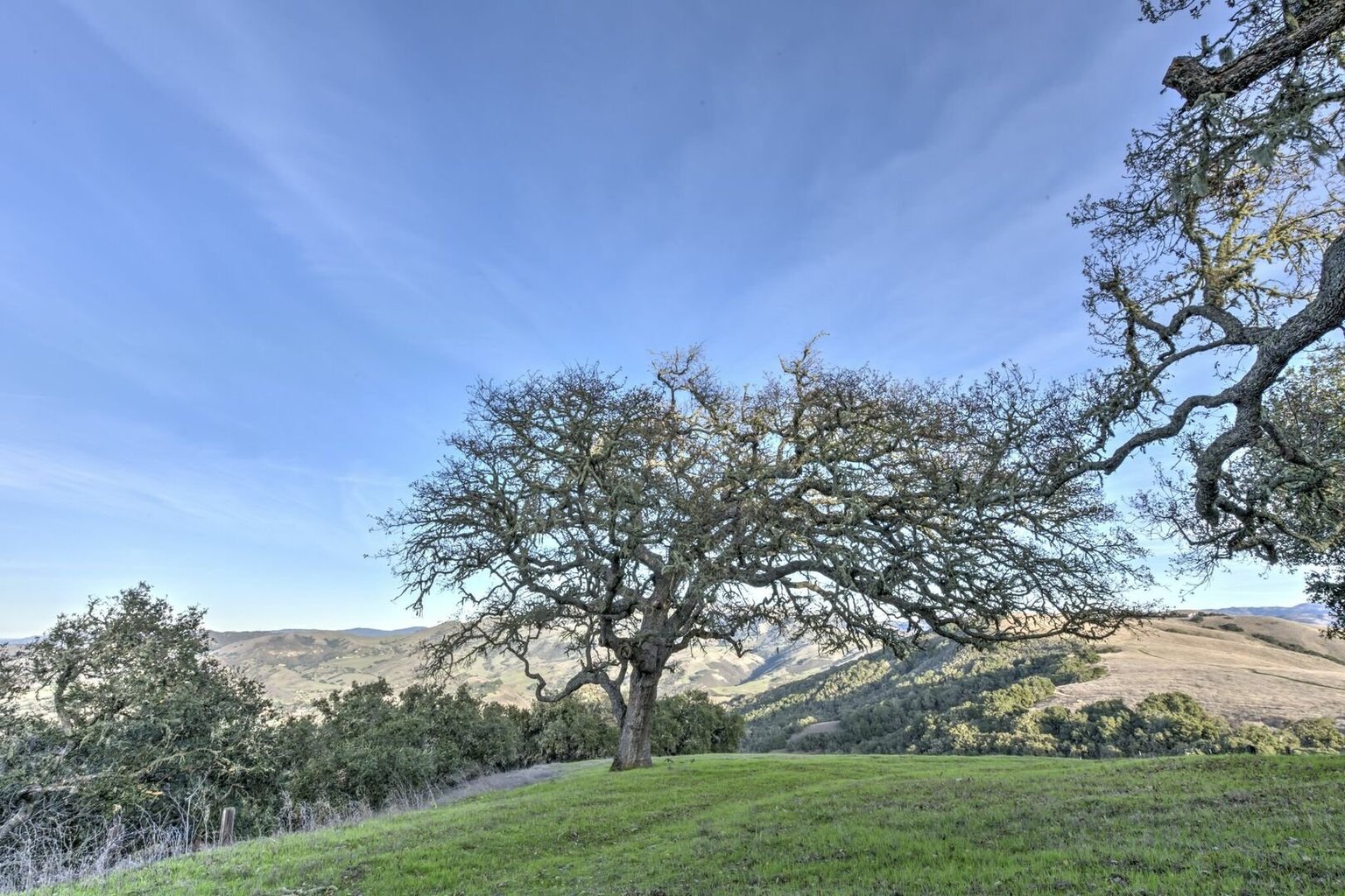 Carmel Valley Vacation Rental