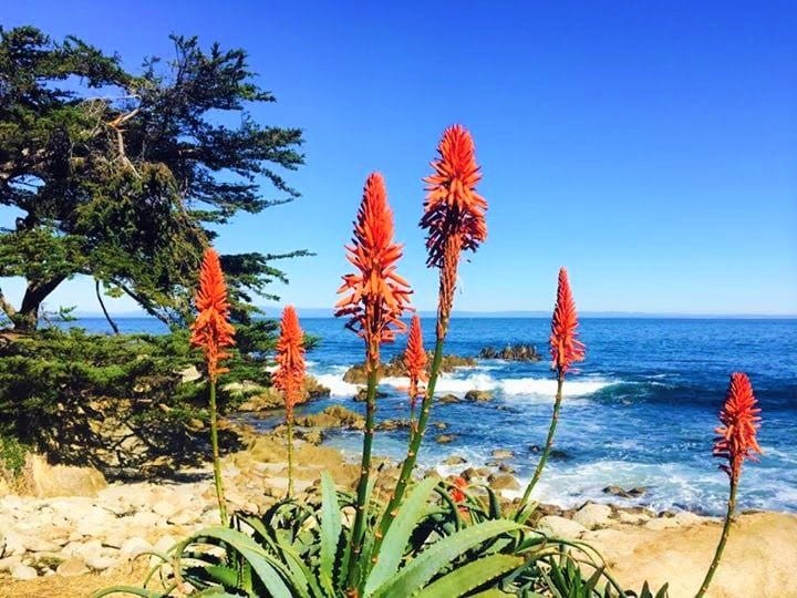 Carmel Vacation Rental