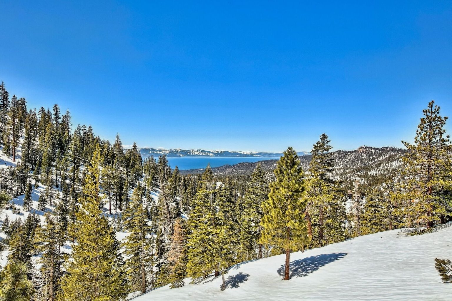 Stateline Vacation Rental