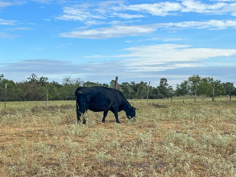 Fredericksburg Vacation Rental