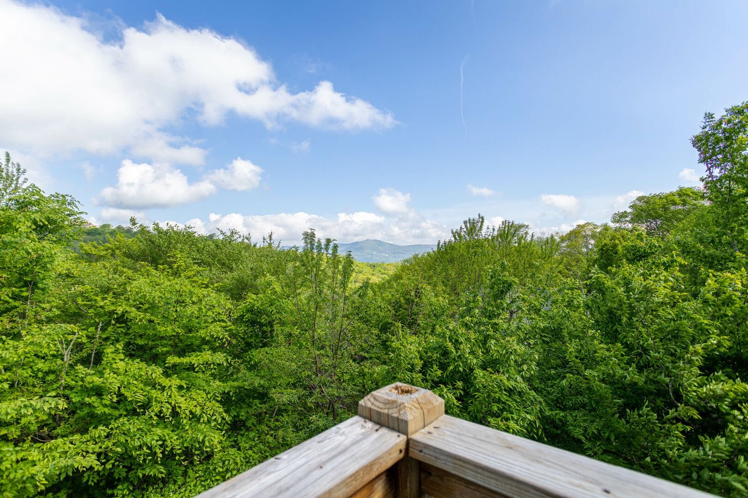 Sugar Mountain Vacation Rental