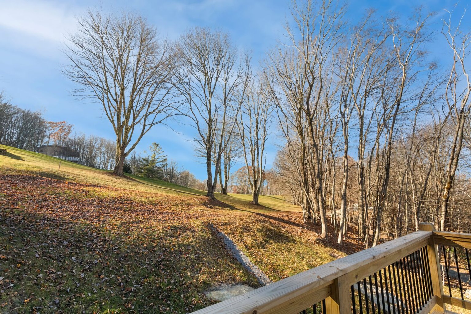 Beech Mountain Vacation Rental