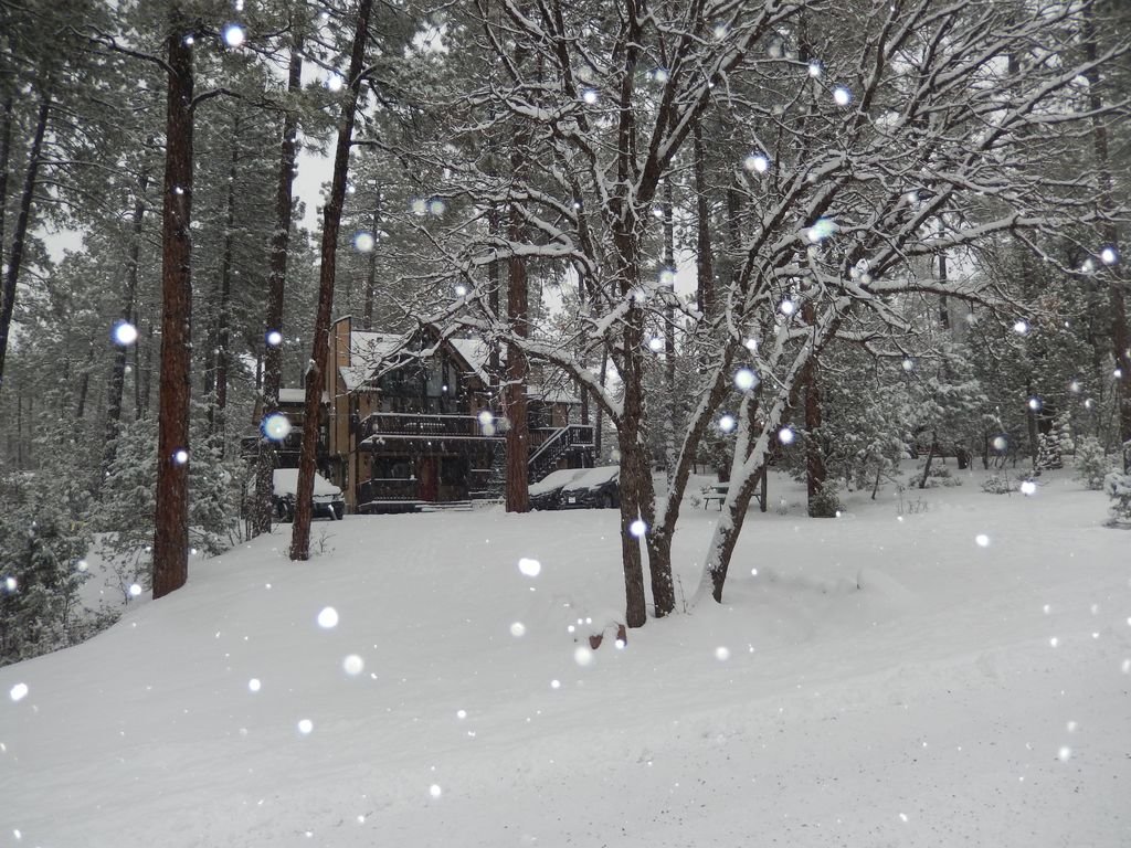 Pine Vacation Rental