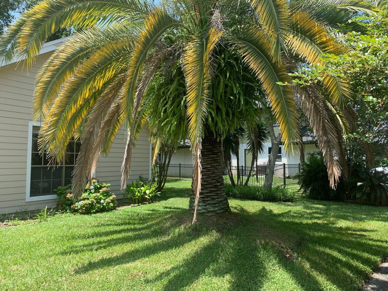 Jacksonville Vacation Rental