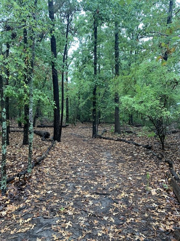 Mineola Vacation Rental