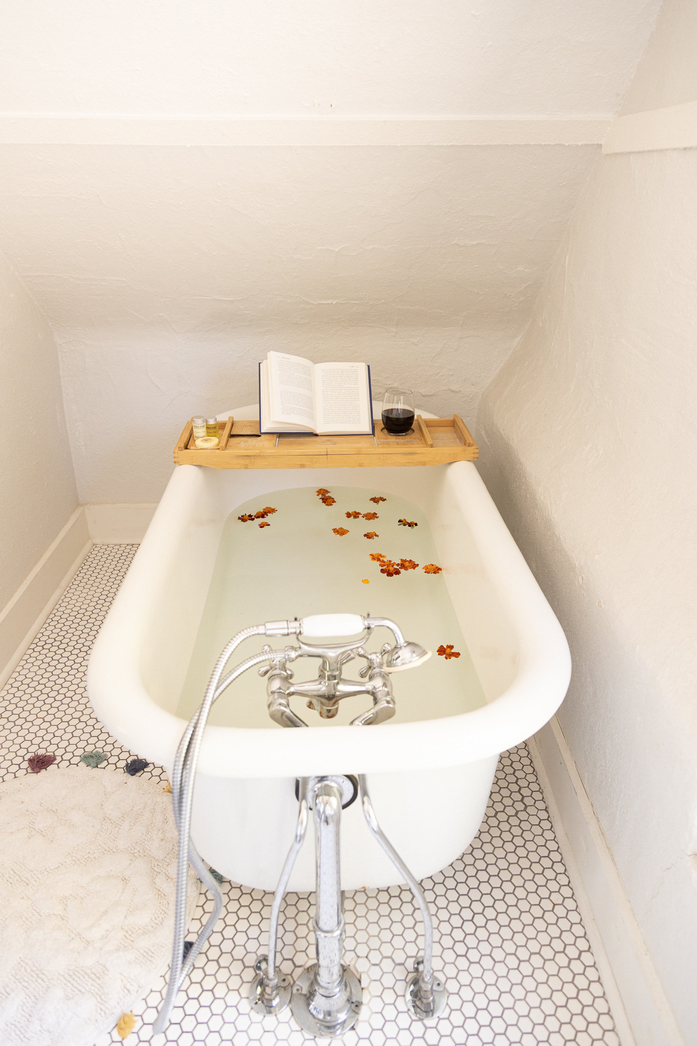Denver Vacation Rental