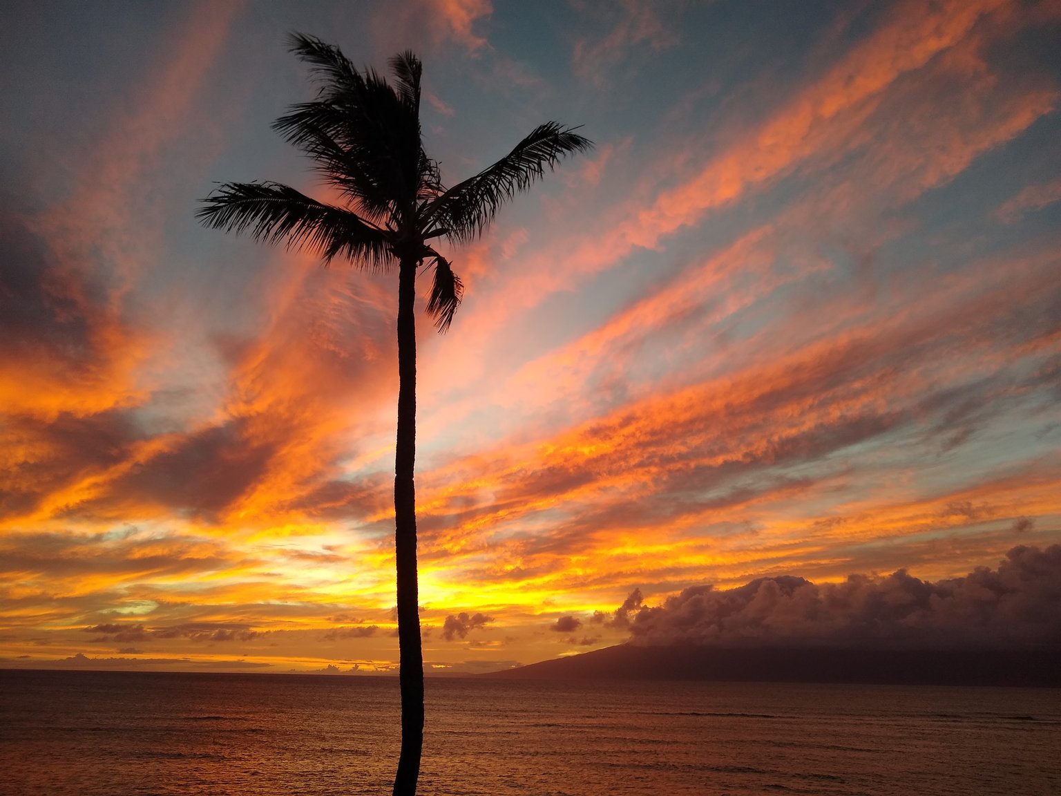 Lahaina Vacation Rental