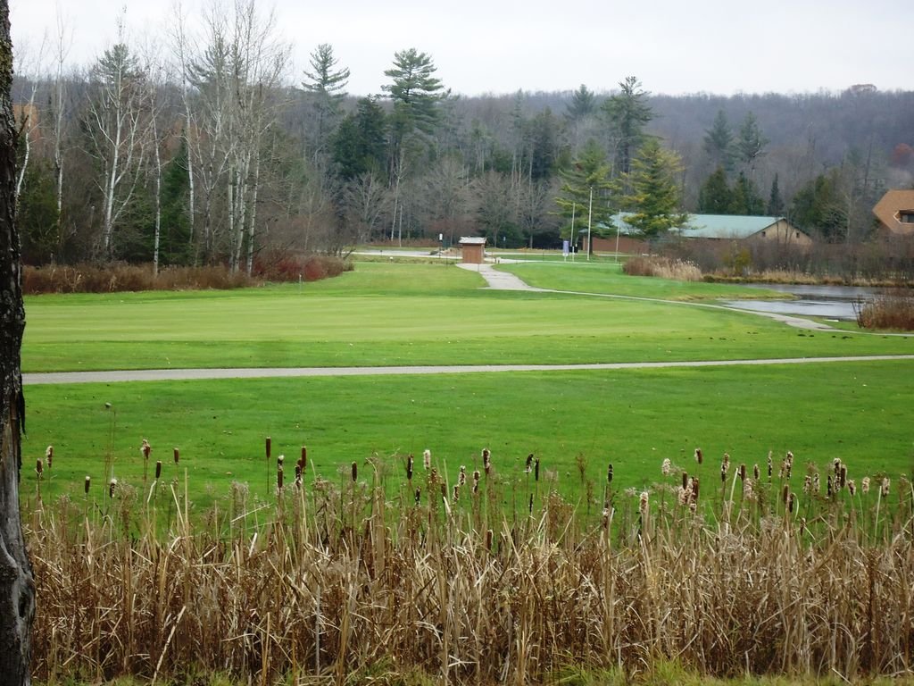 mancelona Vacation Rental