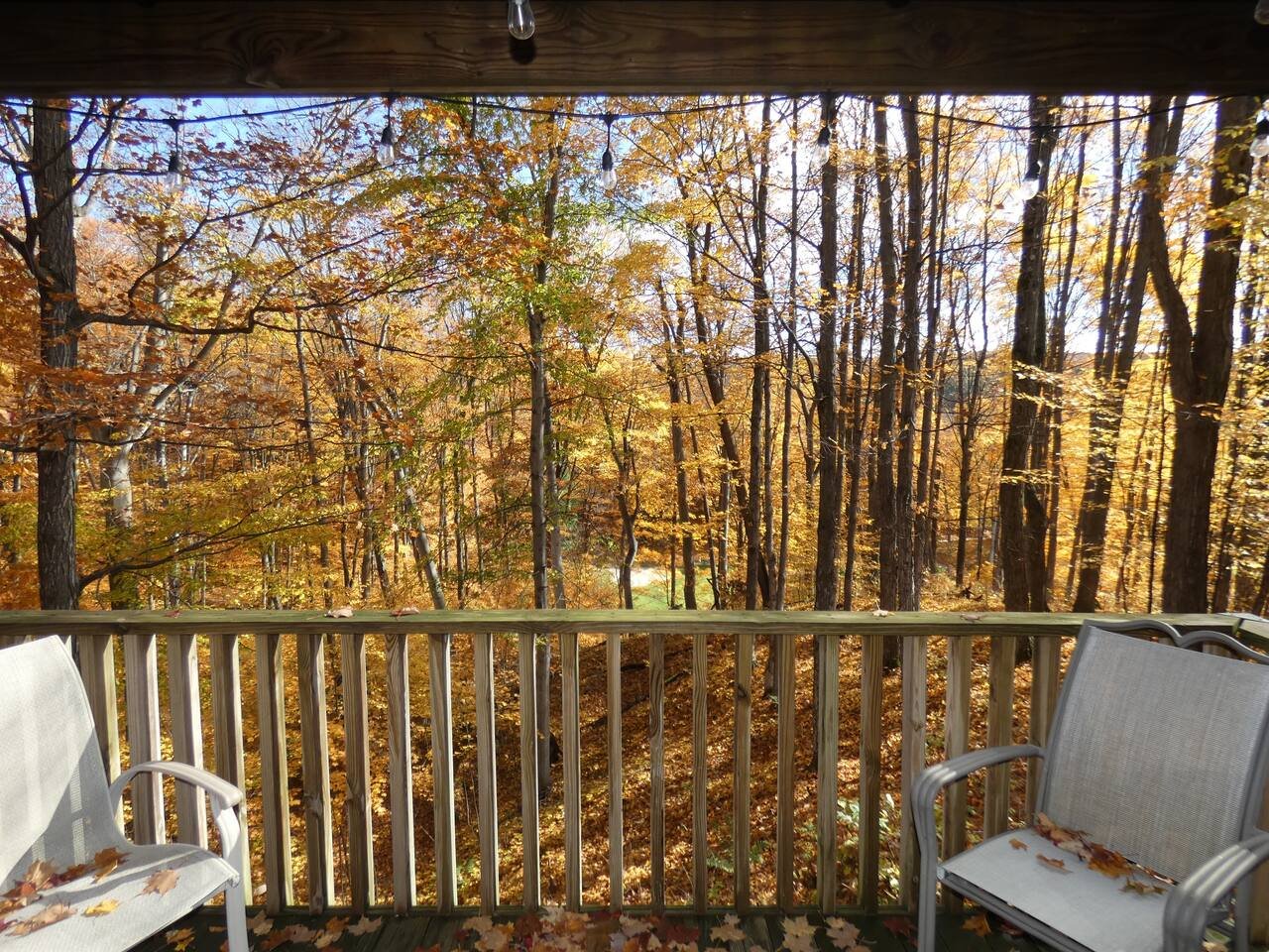 bellaire Vacation Rental