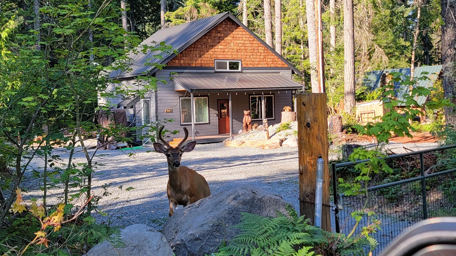 Ashford Vacation Rental