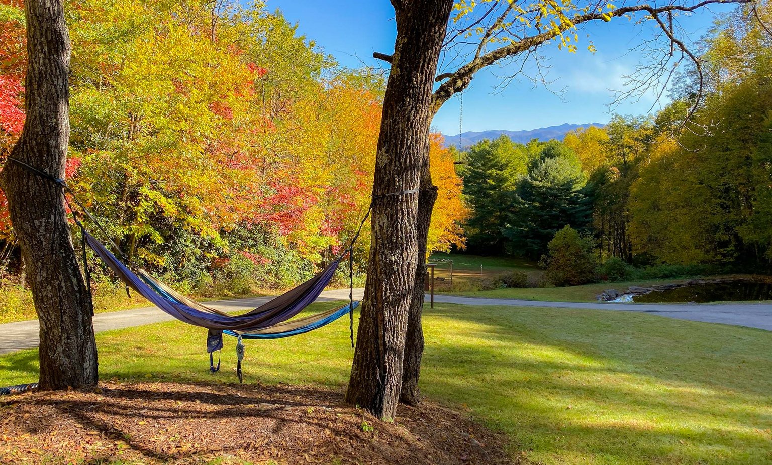 Whittier Vacation Rental