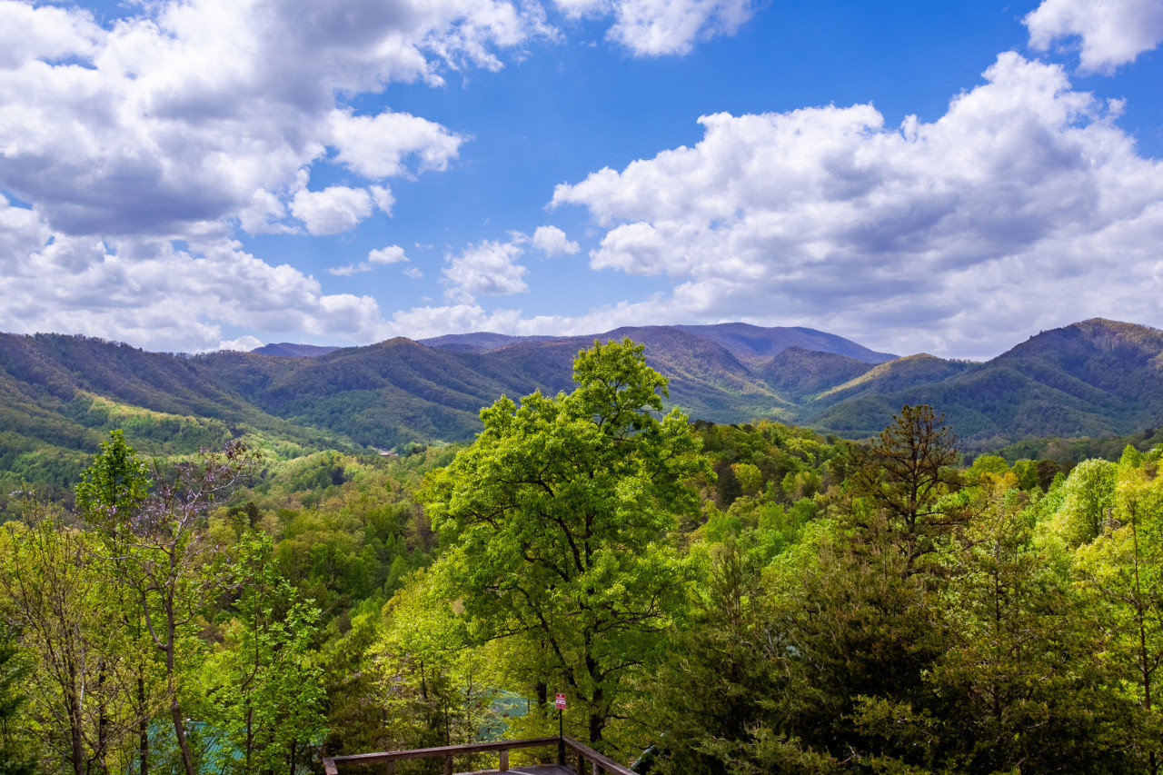 Pigeon Forge Vacation Rental