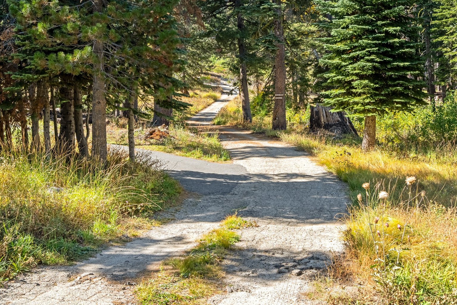 Bear Valley Vacation Rental