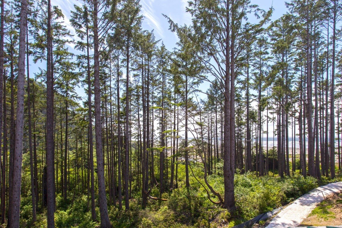 Pacific Beach Vacation Rental