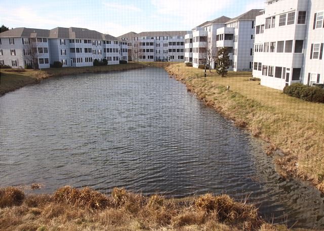 Rehoboth Beach Vacation Rental