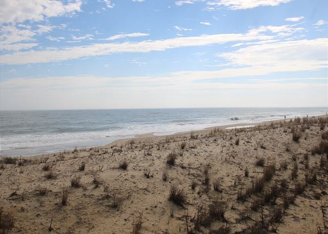Dewey Beach Vacation Rental