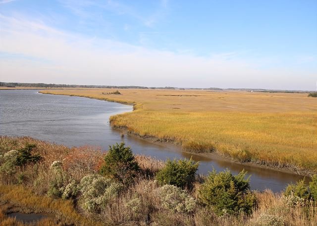 Milton Vacation Rental