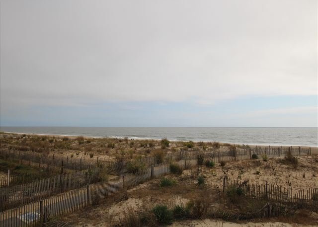 Dewey Beach Vacation Rental