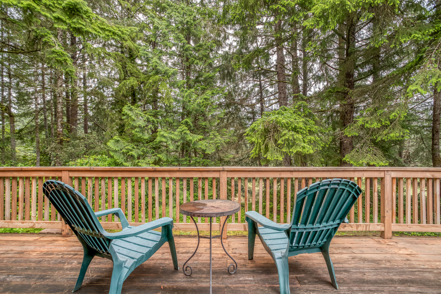 Manzanita Vacation Rental