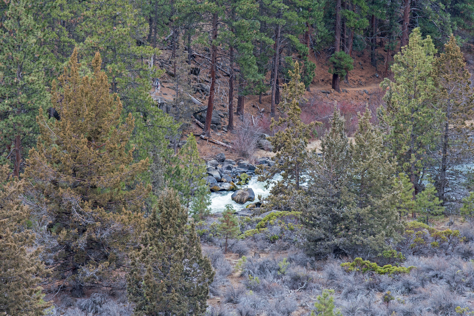 Bend Vacation Rental