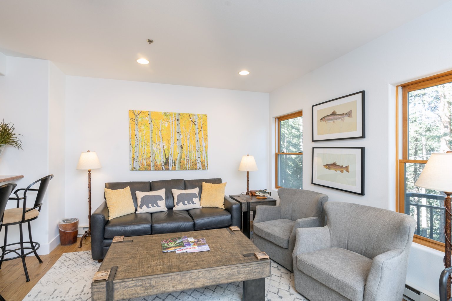 Mountain Village Vacation Rental