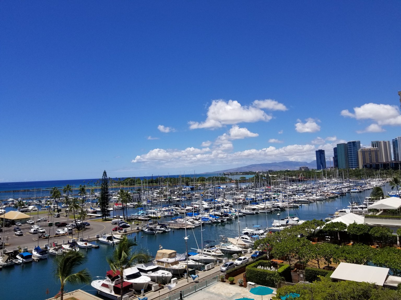 Honolulu Vacation Rental