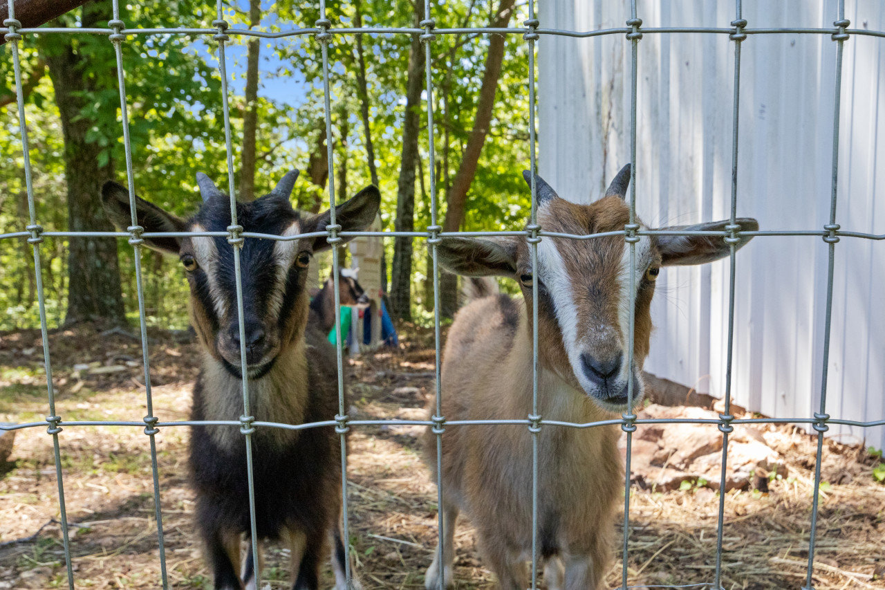 Camdenton Vacation Rental