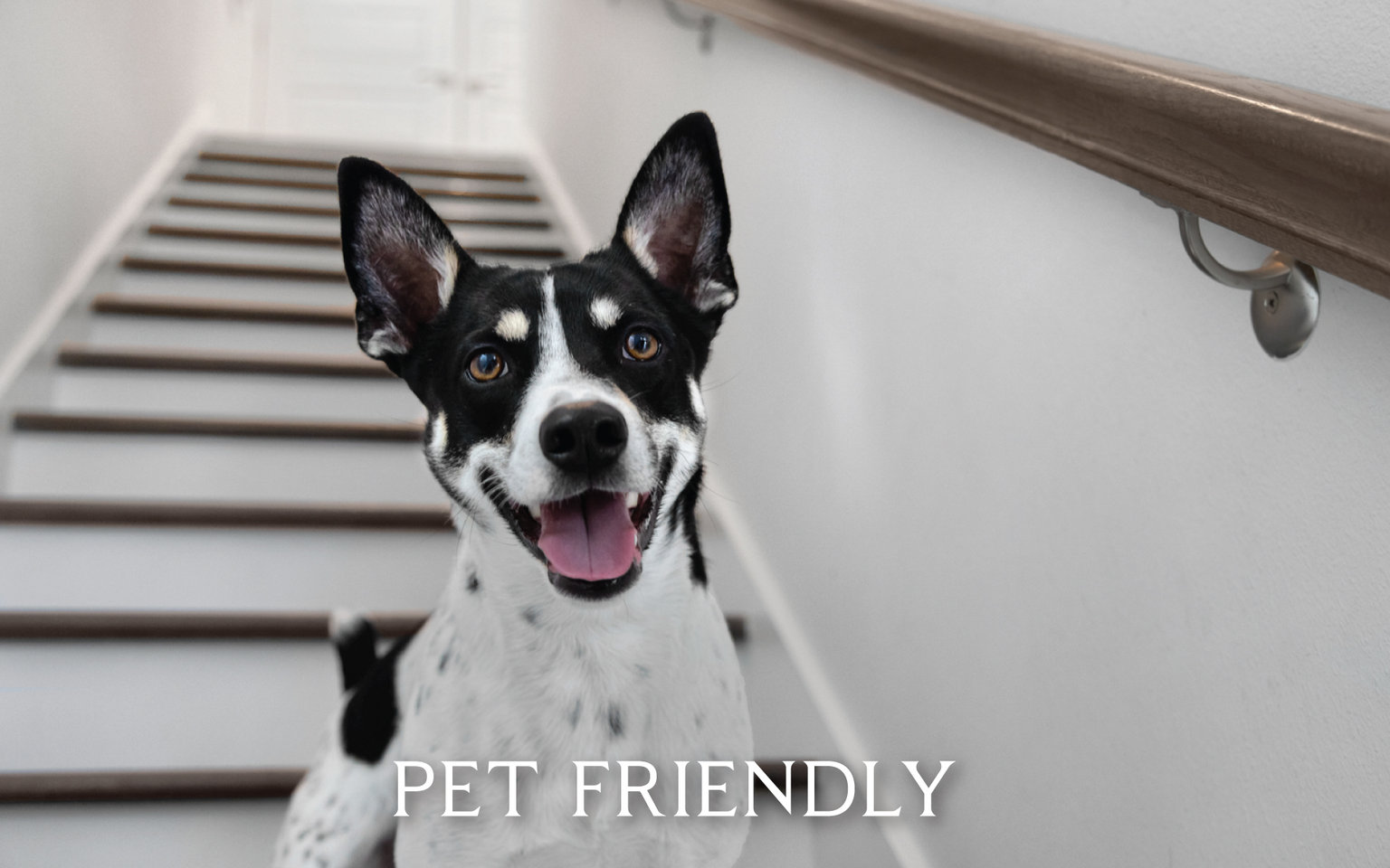 Inlet Beach Vacation Rental