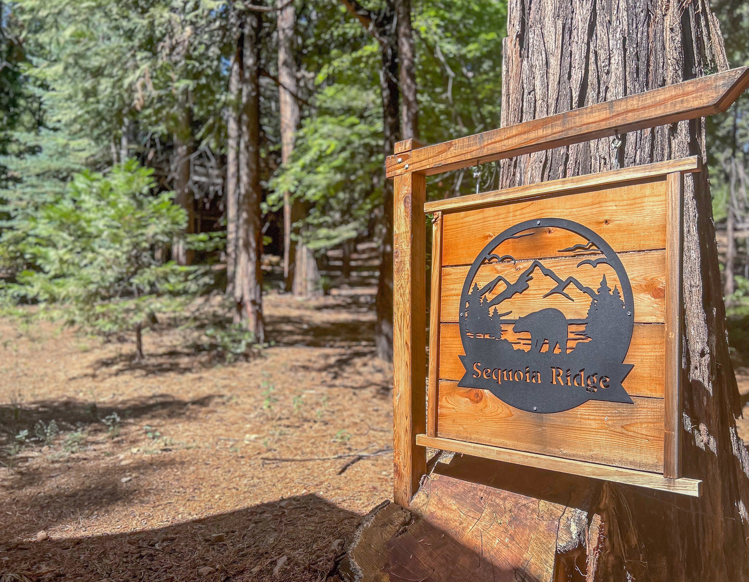 Dorrington Vacation Rental