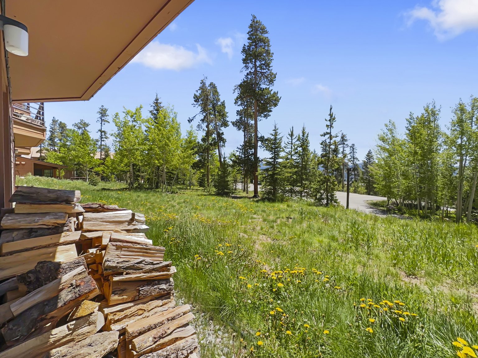 Wildernest Vacation Rental