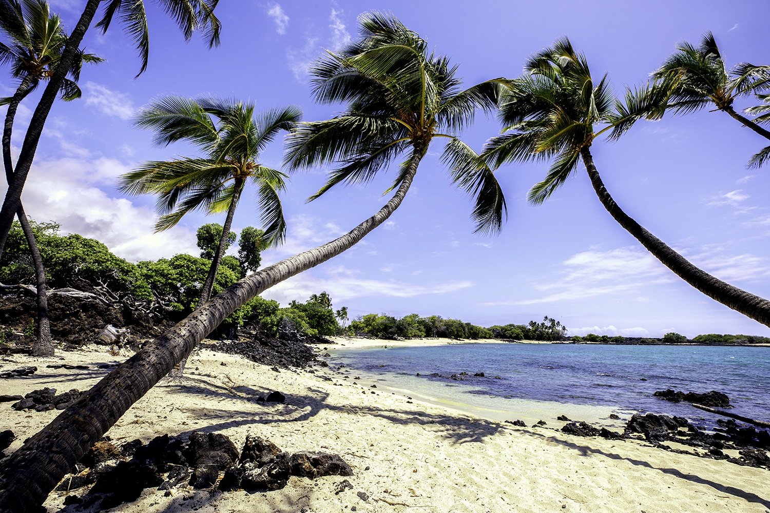Kailua Kona Vacation Rental
