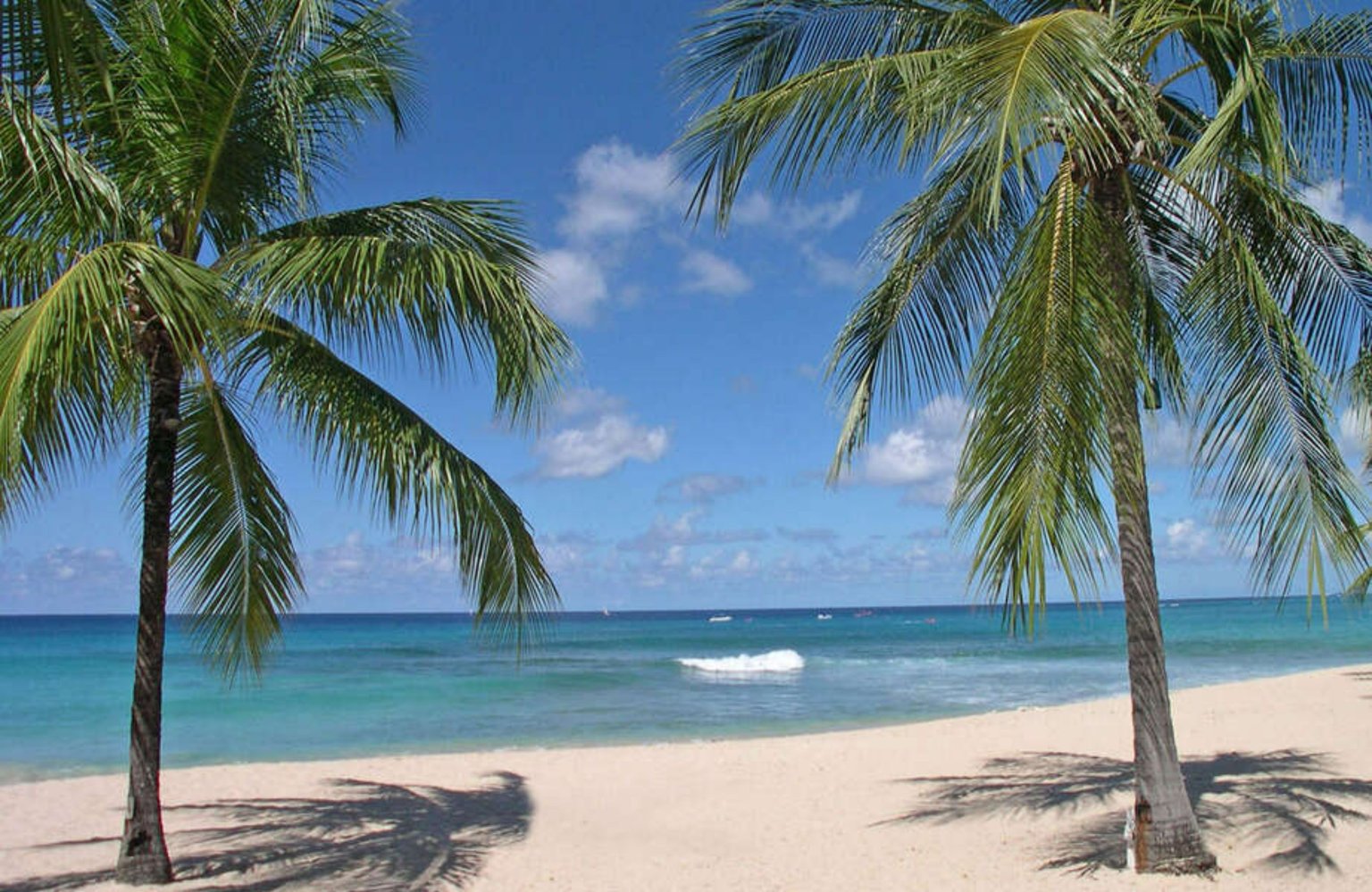 Porters Vacation Rental