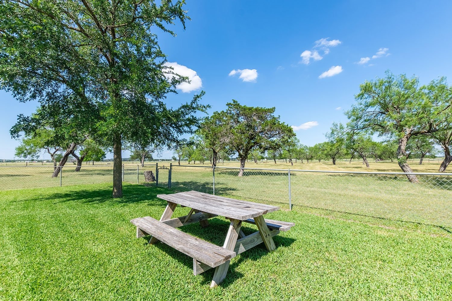 Fredericksburg Vacation Rental
