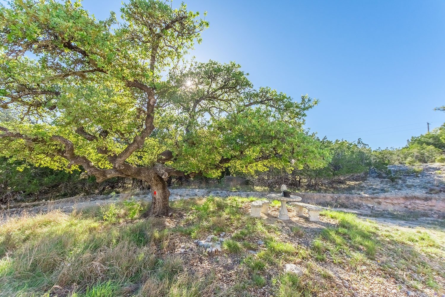 Fredericksburg Vacation Rental