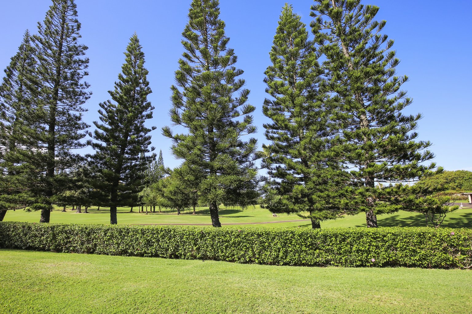 Kahuku Vacation Rental
