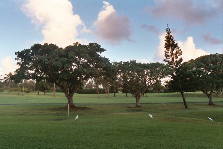 Kahuku Vacation Rental