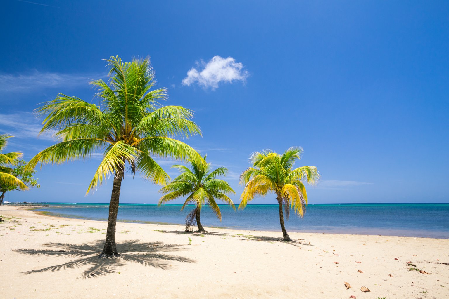 Roatan Vacation Rental