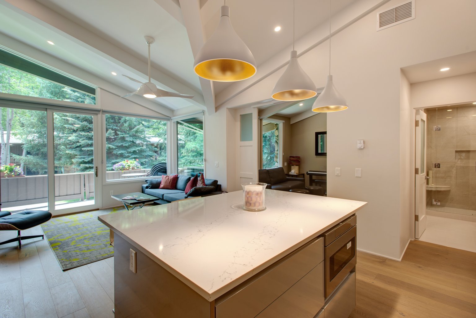 Aspen Vacation Rental