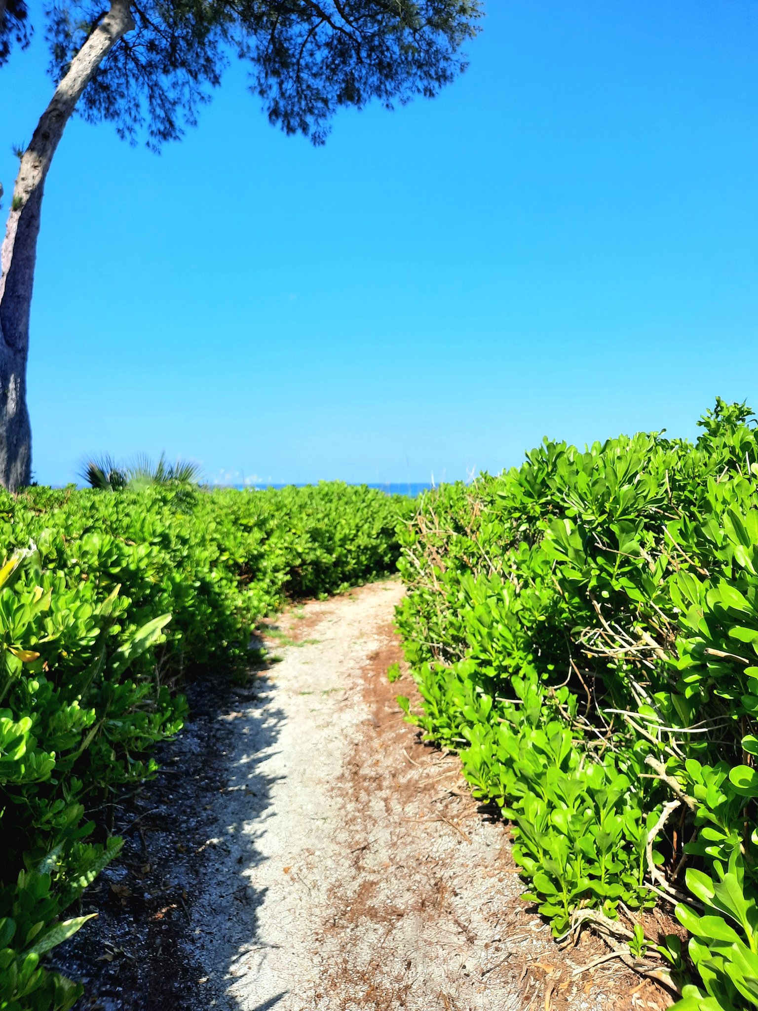 HOLMES BEACH Vacation Rental