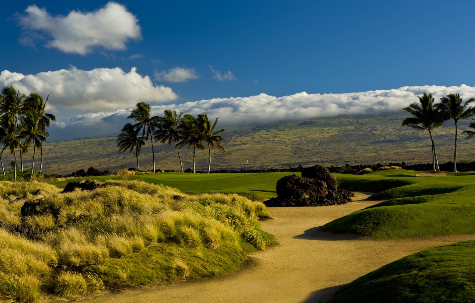 Waikoloa Vacation Rental