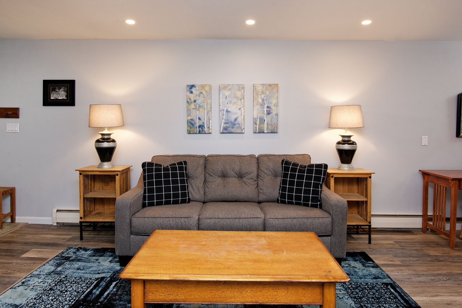 Aspen Vacation Rental