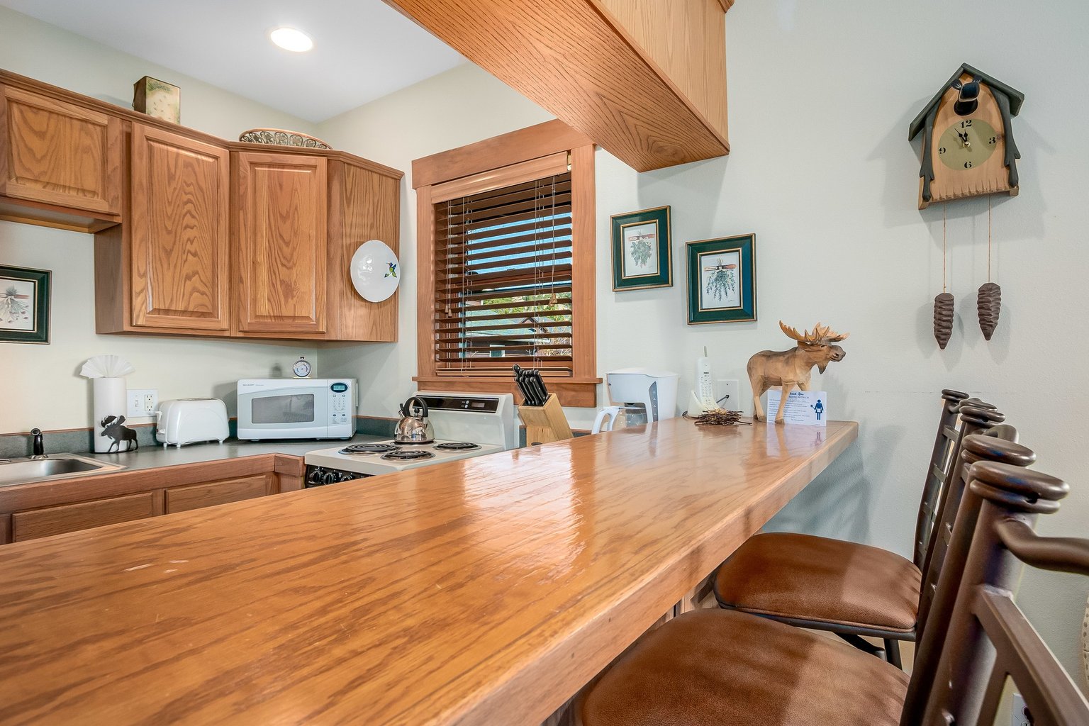 Estes Park Vacation Rental