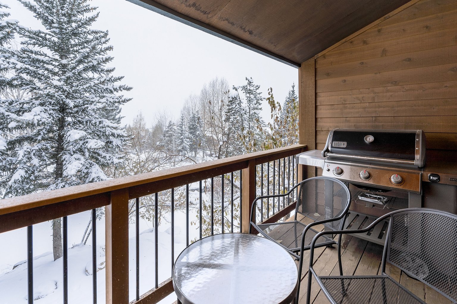 Steamboat Springs Vacation Rental