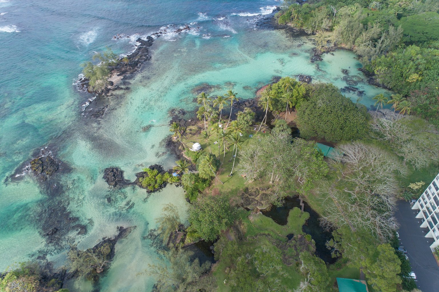 Hilo Vacation Rental